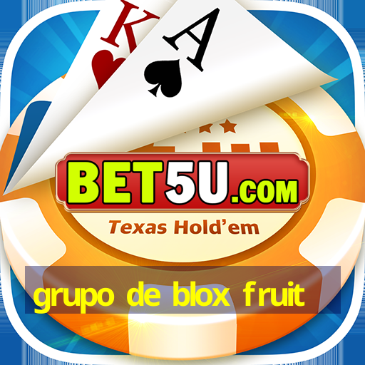 Grupo De Blox Fruit